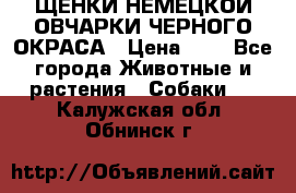 ЩЕНКИ НЕМЕЦКОЙ ОВЧАРКИ ЧЕРНОГО ОКРАСА › Цена ­ 1 - Все города Животные и растения » Собаки   . Калужская обл.,Обнинск г.